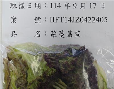 越南出口「蘿蔓萵苣」農藥殘留含量不符規定