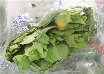 印尼出口「豌豆苗」農藥殘留含量不符規定