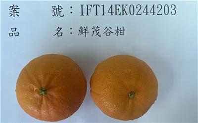 澳大利亞出口「鮮茂谷柑」農藥殘留含量不符規定