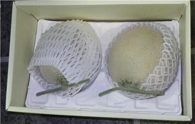 日本出口「鮮蜜瓜」農藥殘留含量不符規定
