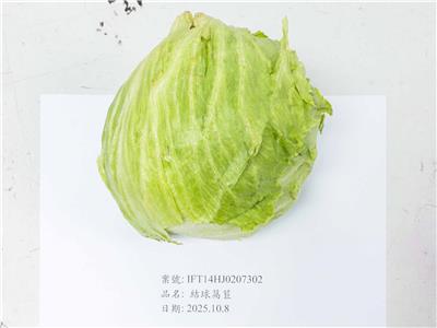 馬來西亞出口「結球萵苣」農藥殘留含量不符規定