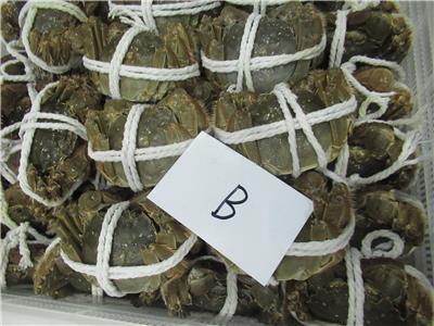 中國大陸出口「中華絨螯蟹」動物用藥殘留含量不符規定
