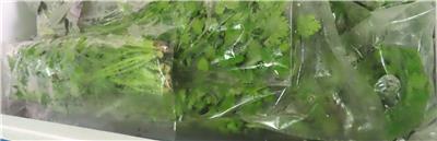 馬來西亞出口「香菜」農藥殘留含量不符規定