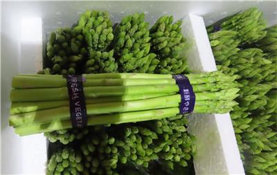 泰國出口「蘆筍」農藥殘留含量不符規定