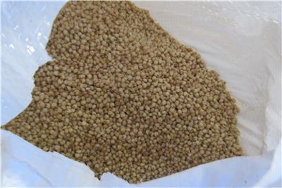 印度出口「高梁」農藥殘留含量不符規定