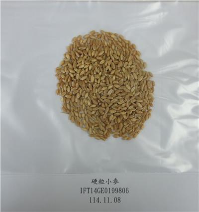 澳大利亞出口「硬粒小麥」農藥殘留含量不符規定