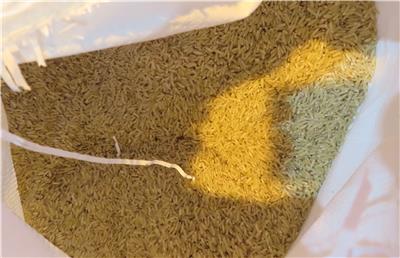 越南出口「糙米」農藥殘留含量不符規定