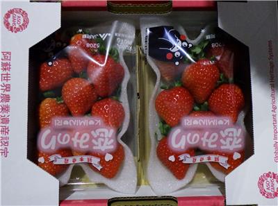 日本出口「鮮草莓」農藥殘留含量不符規定