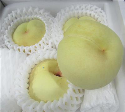 日本出口「水蜜桃」農藥殘留含量不符規定