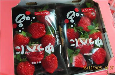 日本出口「鮮草莓」農藥殘留含量不符規定