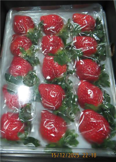 日本出口「鮮草莓」農藥殘留含量不符規定