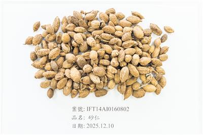 中國大陸出口「砂仁」農藥殘留含量不符規定