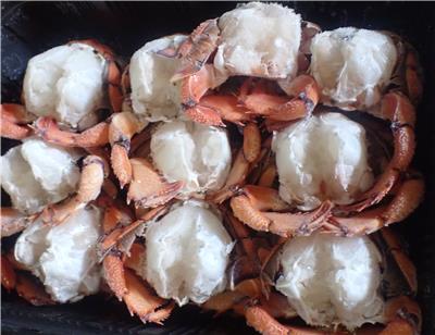 泰國出口「冷凍旭蟹」重金屬含量不符規定