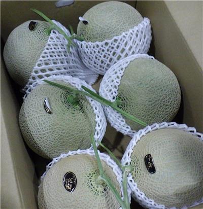 日本出口「鮮哈密瓜」農藥殘留含量不符規定