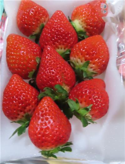 日本出口「鮮草莓」農藥殘留含量不符規定