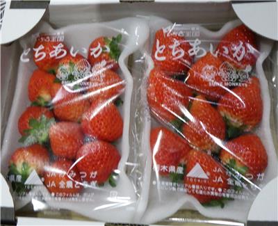 日本出口「鮮草莓」農藥殘留含量不符規定