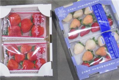 日本出口「鮮草莓」農藥殘留含量不符規定
