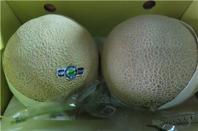 日本出口「鮮哈密瓜」農藥殘留含量不符規定