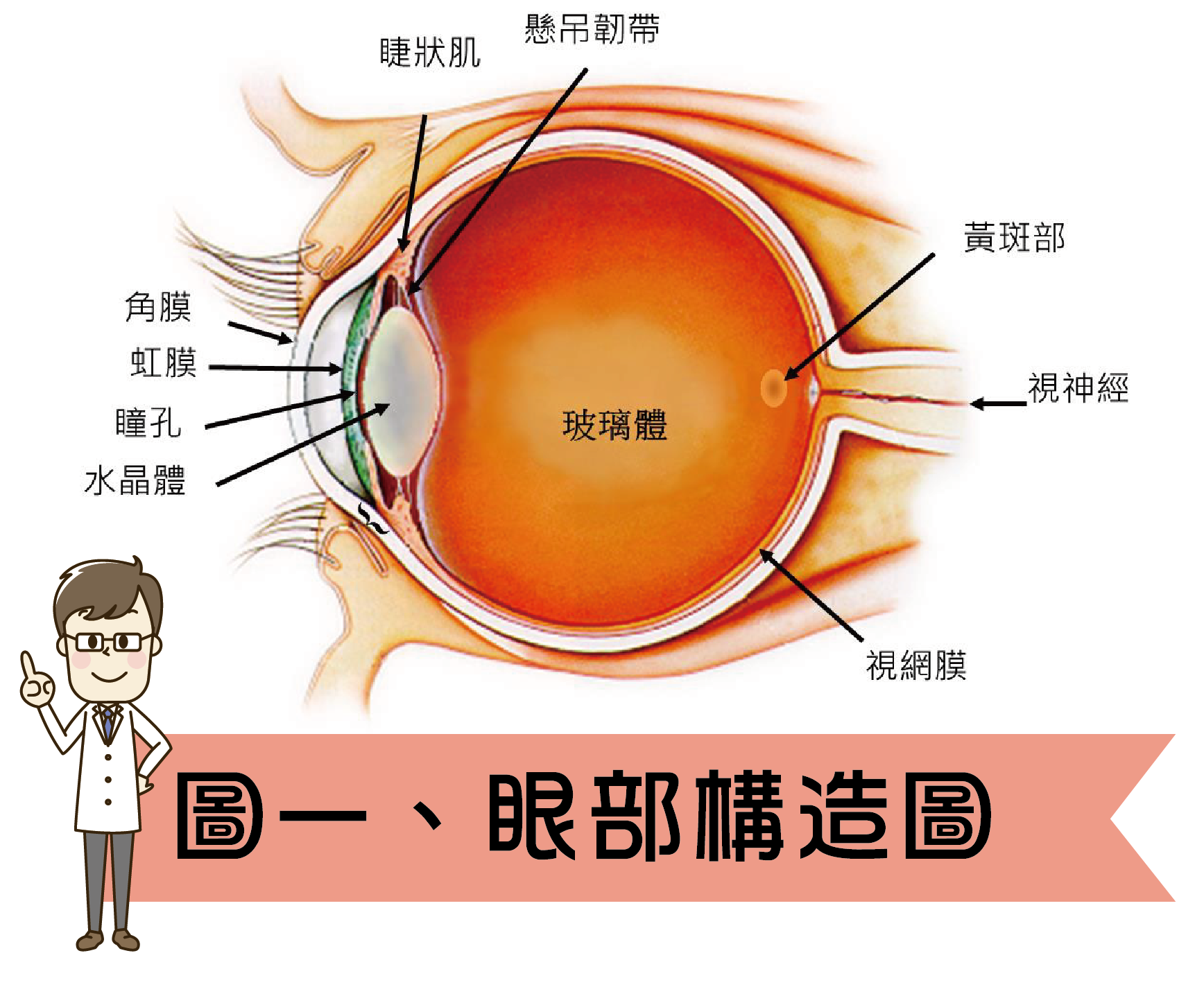 第二張圖片