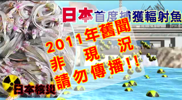 日本首度捕獲輻射魚為2011年舊聞，非現況，請勿傳播!!!