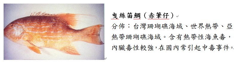 熱帶性海魚毒